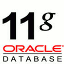 Oracle Database Express Edition 11g R2 para Linux x64