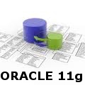 bases_datos_ora_11g