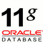 Oracle Database 11g Release 2 Windows